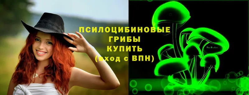 Псилоцибиновые грибы Psilocybe  Дятьково 